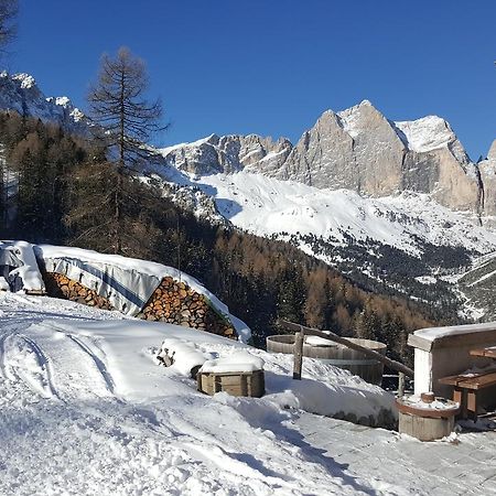 Rifugio Negritella 호텔 포자 디 파사 외부 사진