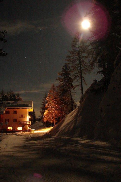 Rifugio Negritella 호텔 포자 디 파사 외부 사진