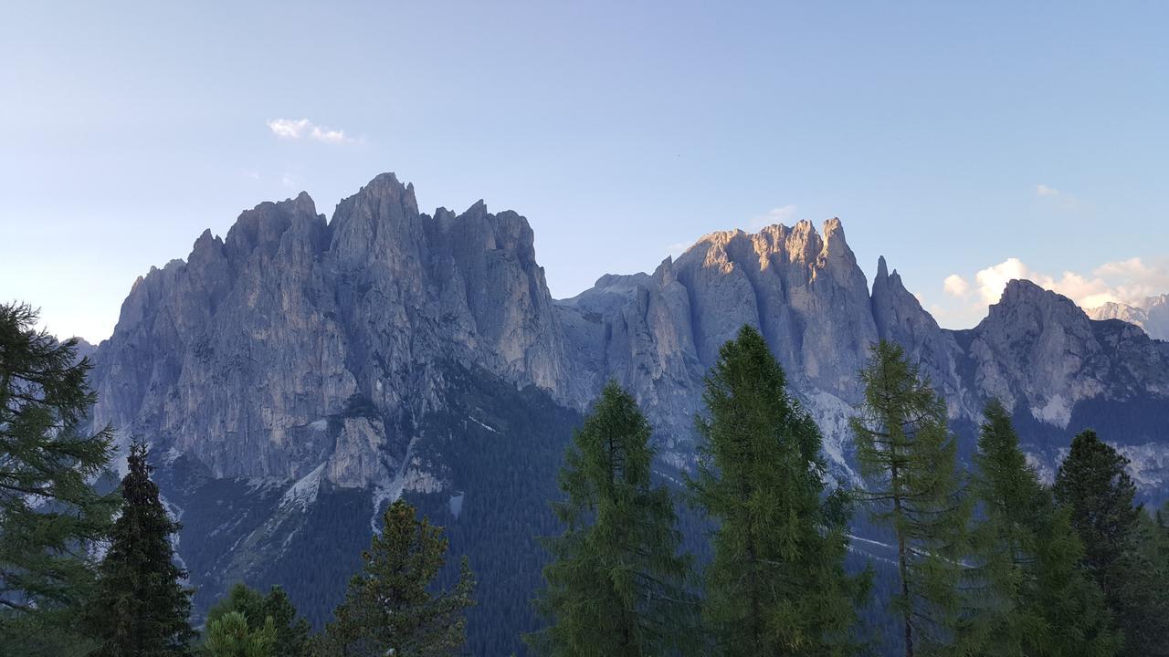 Rifugio Negritella 호텔 포자 디 파사 외부 사진