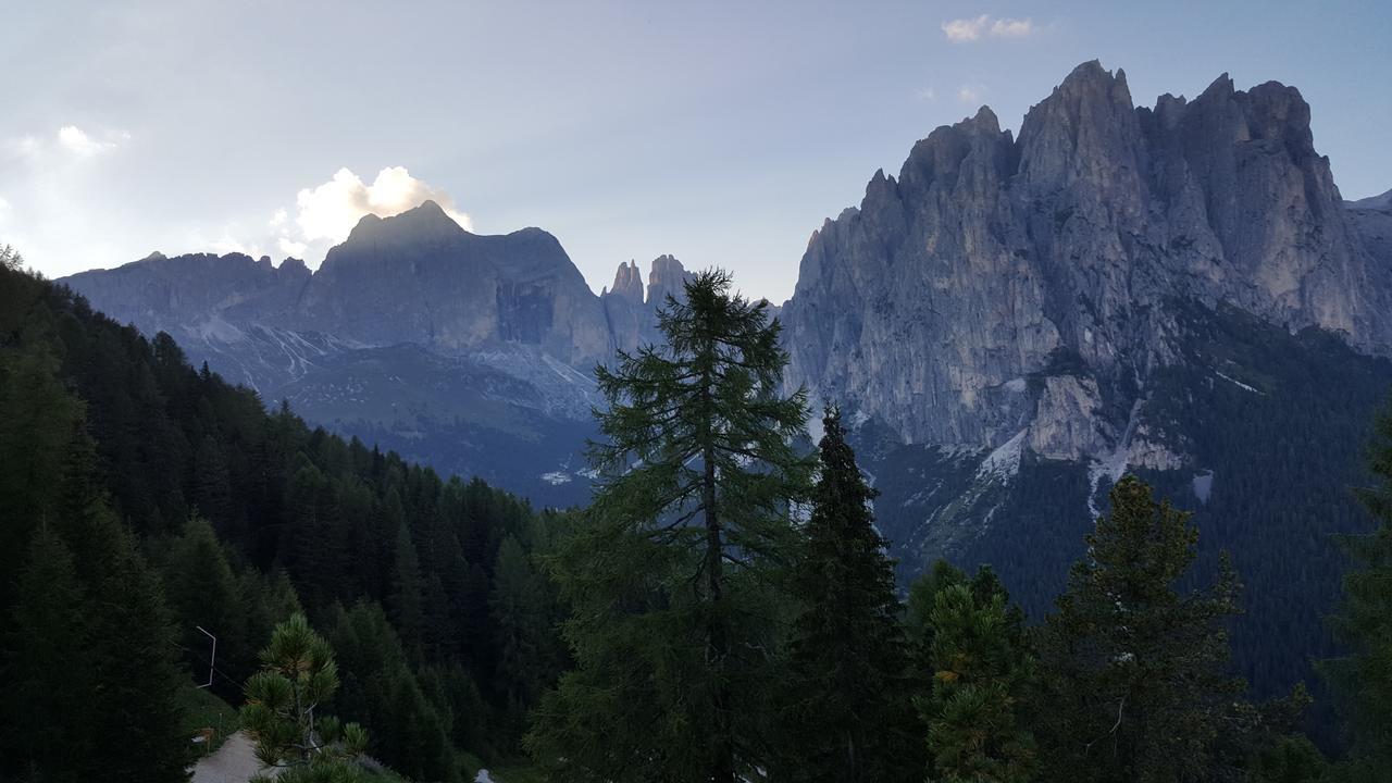 Rifugio Negritella 호텔 포자 디 파사 외부 사진